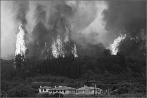 Greek fires bring profits to land developers